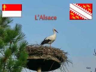 L’Alsace