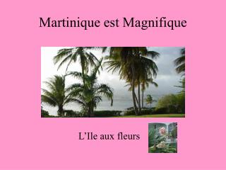 Martinique est Magnifique