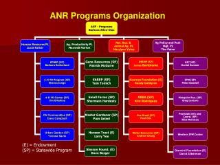 ANR Programs Organization