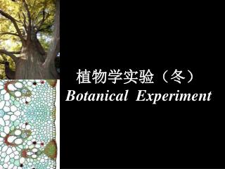 植物学实验（冬） Botanical Experiment