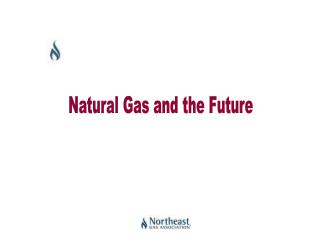 Natural Gas and the Future