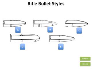 Rifle Bullet Styles