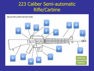 223 Caliber Semi-automatic Rifle/Carbine