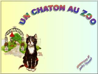 UN CHATON AU ZOO