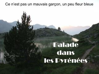 Balade dans les Pyrénées