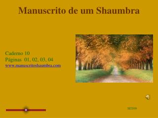 Manuscrito de um Shaumbra