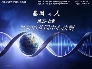 基因 与 人 第 五 - 七 章 生命的基因中心法则