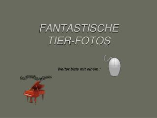 FANTASTISCHE TIER-FOTOS Weiter bitte mit einem :