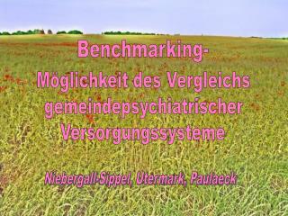 Benchmarking-