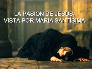 LA PASION DE JESUS, VISTA POR MARIA SANTÍSIMA
