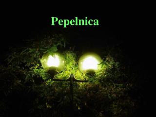 Pepelnica