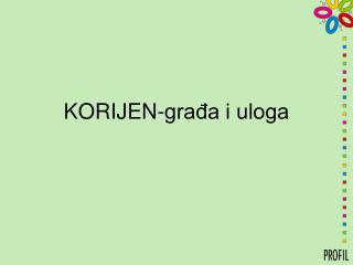 KORIJEN-građa i uloga