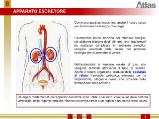 Premere un tasto per procedere con la presentazione.