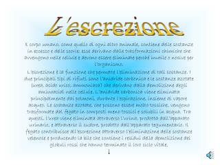 L'escrezione