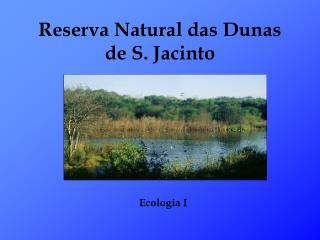 Reserva Natural das Dunas de S. Jacinto