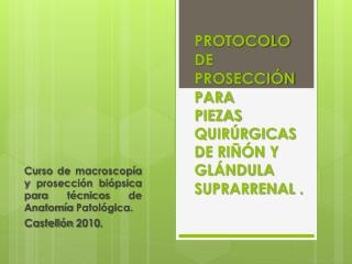 Curso de macroscopía y prosección biópsica para técnicos de Anatomía Patológica. Castellón 2010.