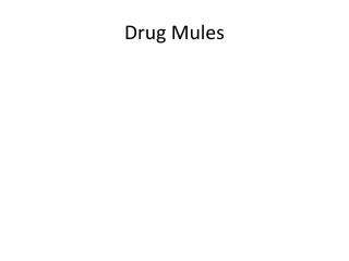 Drug Mules