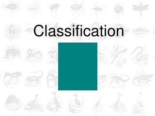 Classification