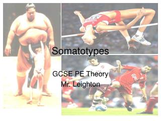 Somatotypes