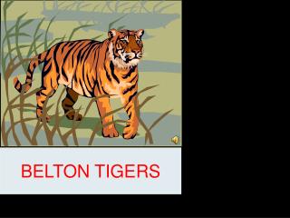 BELTON TIGERS