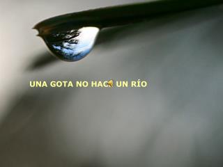 UNA GOTA NO HACE UN RÍO