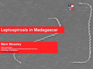 Leptospirosis in Madagascar