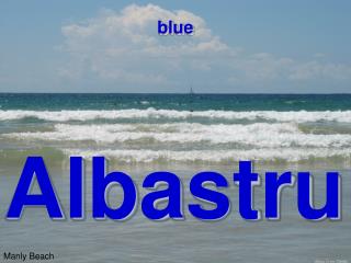 Albastru