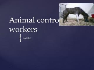 Animal control workers