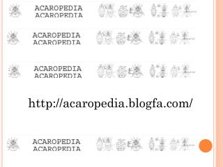 acaropedia.blogfa/