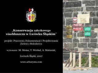 „ Konserwacja zabytkowego wino bluszczu w Lwówku Śląskim ”