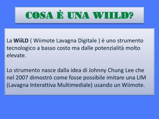 COSA È UNA WIILD?