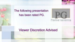 The following presentation has been rated PG.