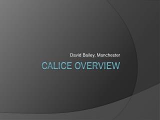 CALICE Overview