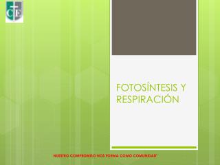 FOTOSÍNTESIS Y RESPIRACIÓN