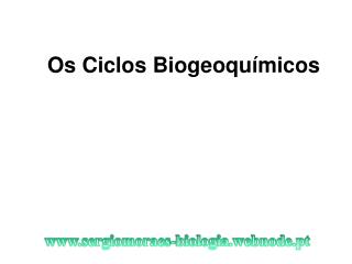 Os Ciclos Biogeoquímicos