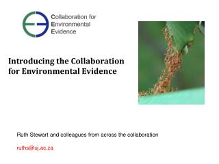 Ruth Stewart and colleagues from across the collaboration ruths@uj.ac.za