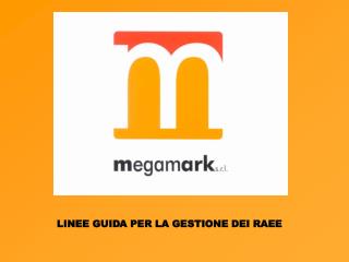 LINEE GUIDA PER LA GESTIONE DEI RAEE