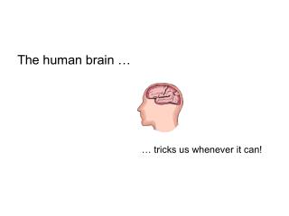 The human brain …