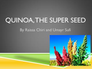 QUINOA, the super seed