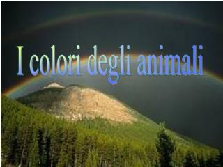 I colori degli animali