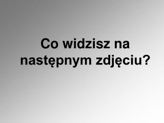 Co widzisz na następnym zdjęciu?