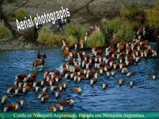 Aerial photographs