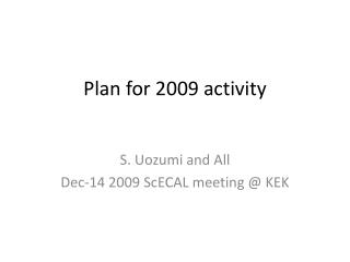 Plan for 2009 activity