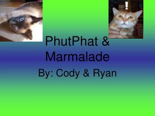 PhutPhat &amp; Marmalade