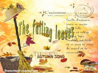 The falling leaves