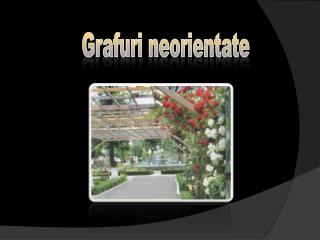 Grafuri neorientate