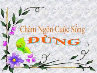 ĐỪNG