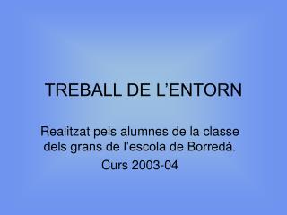 TREBALL DE L’ENTORN