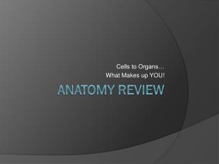 Anatomy Review