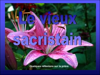 Le vieux sacristain